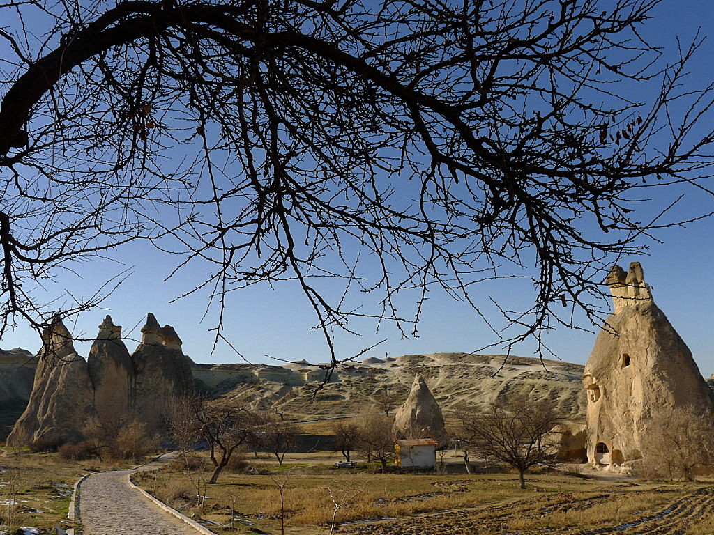 Cappadocia-Pasabag Valley